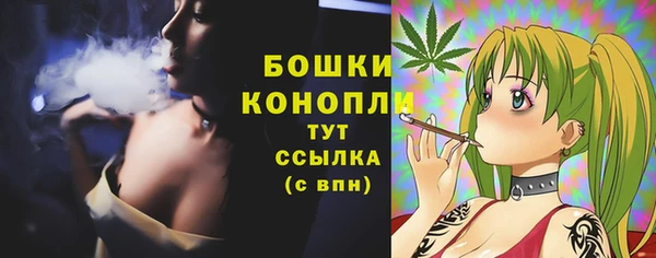 шишки Бугульма