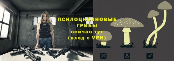 MDMA Premium VHQ Бронницы