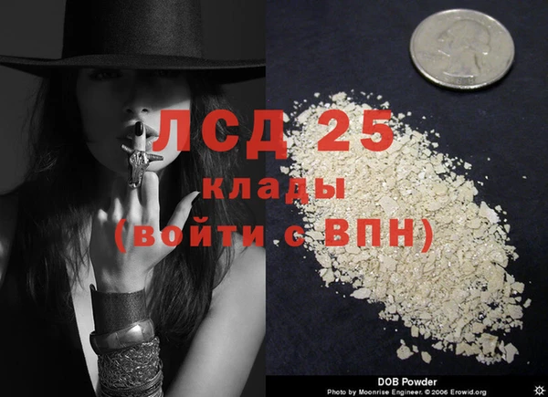 шишки Бугульма